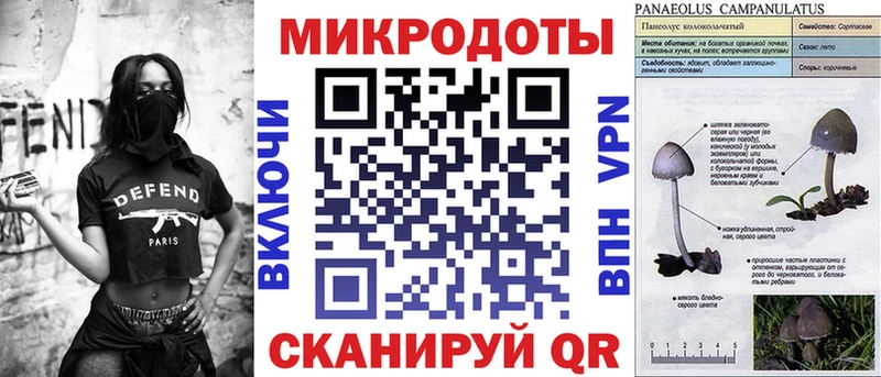 как найти закладки  Сочи  Псилоцибиновые грибы MAGIC MUSHROOMS 