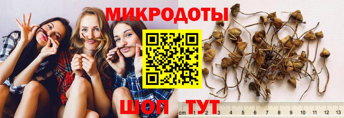 Галлюциногенные грибы Psilocybe  Галлюциногенные грибы GOLDEN TEACHER  Вход с VPN  Сочи 